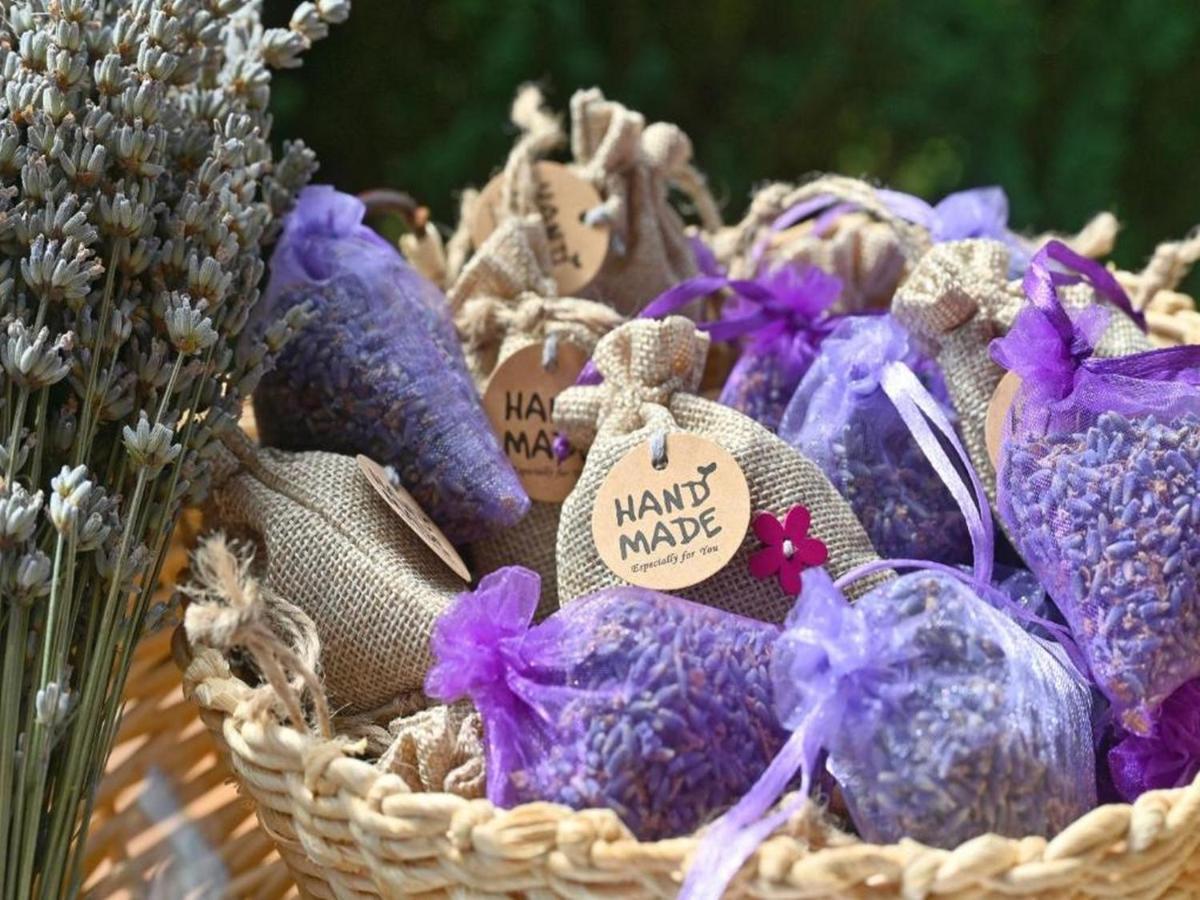 Lavanda Land - Villa Tanya Mreznica Donji Zvecaj Eksteriør billede